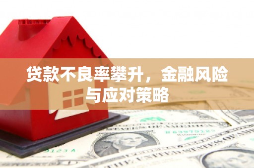 白山贷款不良率攀升，金融风险与应对策略